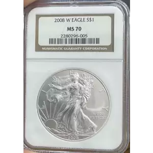 2008 W BURNISHED SILVER EAGLE