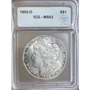 Morgan Silver Dollar (2)