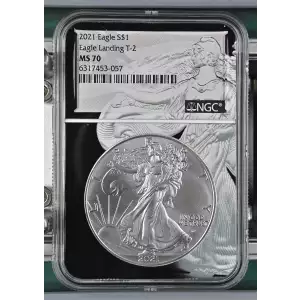 2021 Eagle Landing T-2 (2)