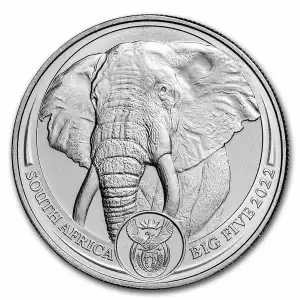 South Africa 1 oz Platinum Big Five Elephant